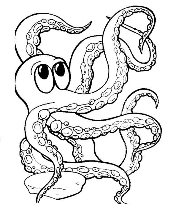 教你画八爪鱼-1