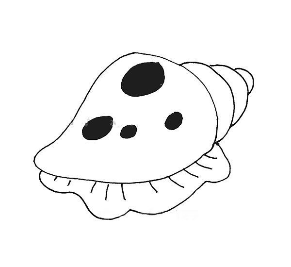 漂亮的海螺简笔画-1