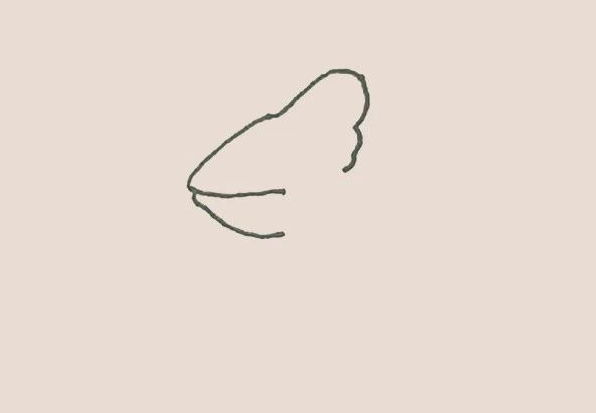 简笔画之变色龙-2