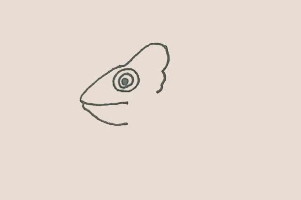 简笔画之变色龙-3