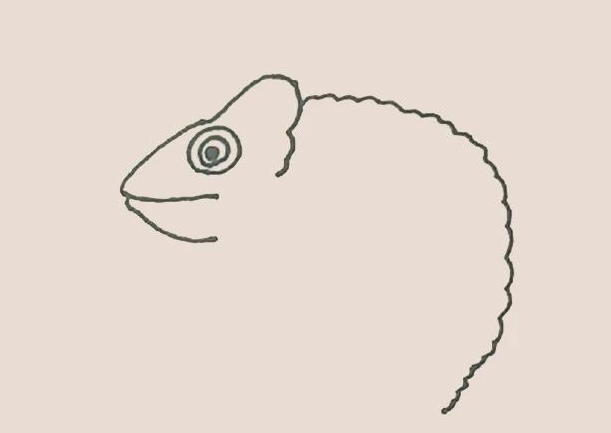 简笔画之变色龙-4