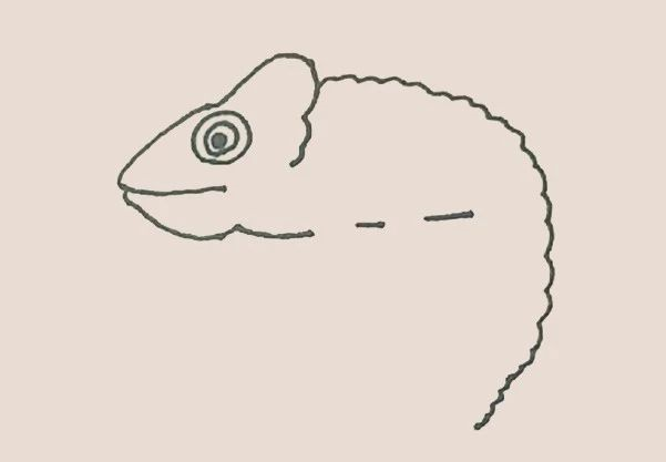 简笔画之变色龙-5