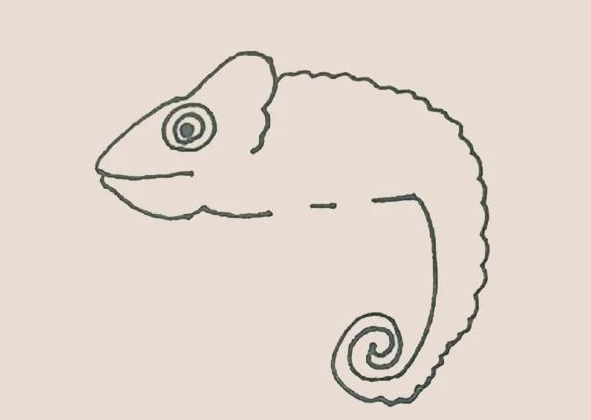 简笔画之变色龙-6
