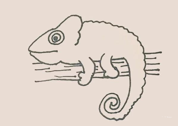 简笔画之变色龙-9
