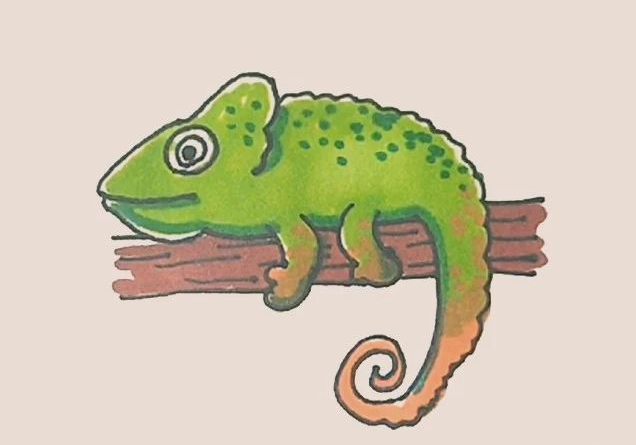 简笔画之变色龙-10
