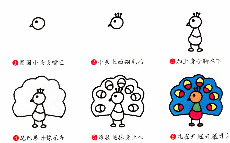 孔雀的画法简笔画-2