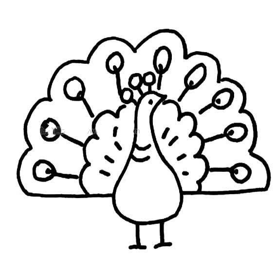 宝宝学画画之孔雀开屏-2