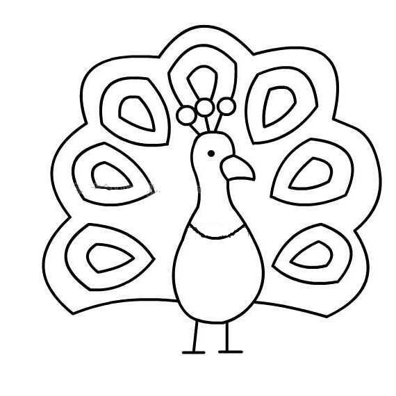 宝宝学画画之孔雀开屏-4