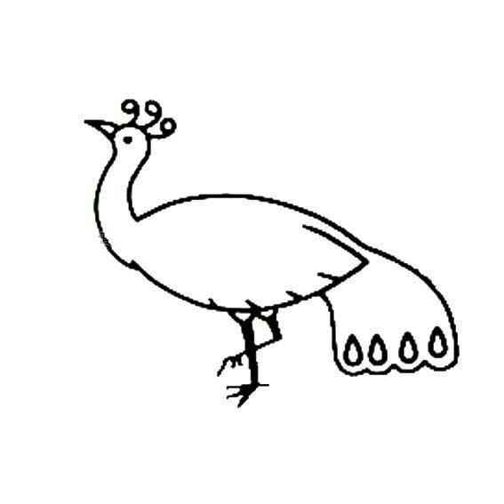 丰满的孔雀简笔画图片-1