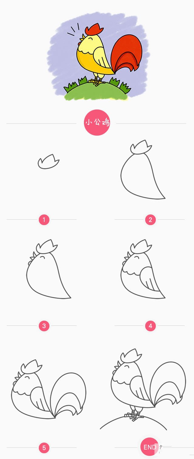 小公鸡简笔画画法-1
