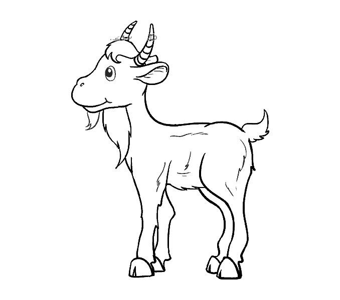 很容易学的山羊简笔画-1