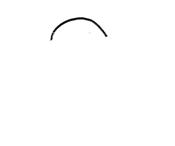 学画树懒-1