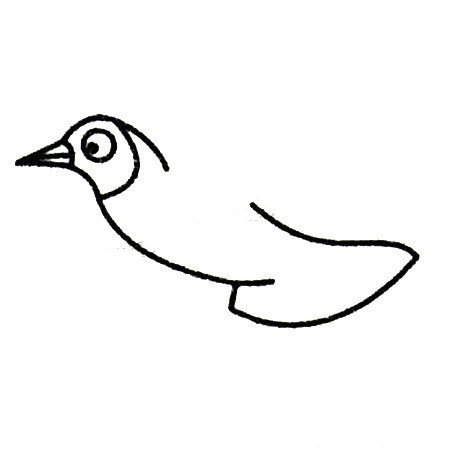 海鸥简笔画大全及画法步骤-2