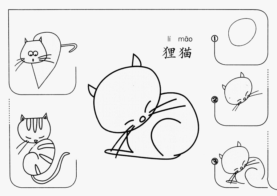 狸猫怎么画-1