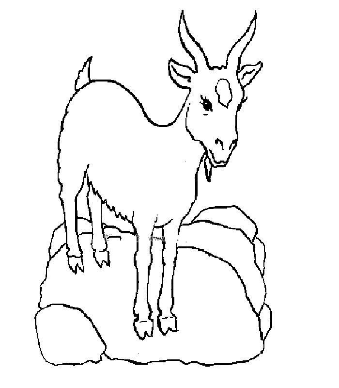 一组羊的简笔画图片-1