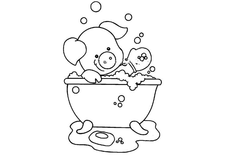 爱洗澡的小猪-1