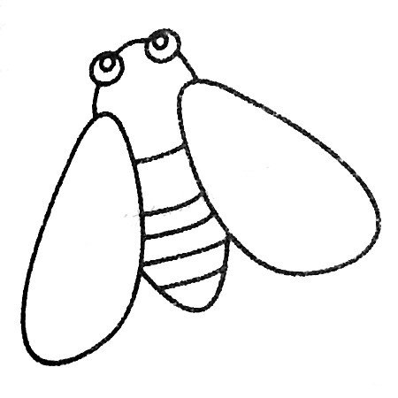 蝉的简笔画大全及画法步骤-4