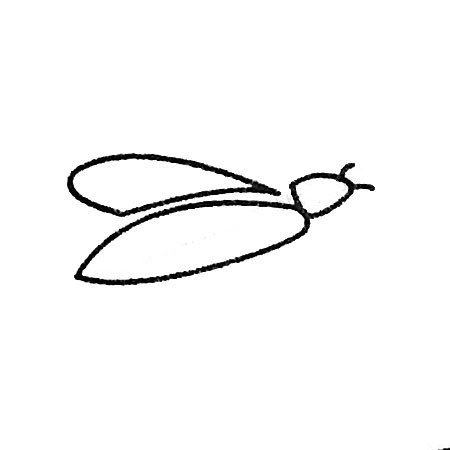 萤火虫简笔画大全及画法步骤-1