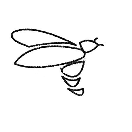 萤火虫简笔画大全及画法步骤-2