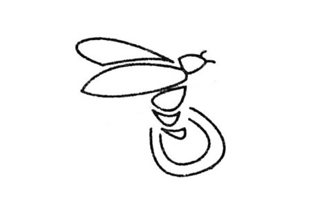 萤火虫简笔画大全及画法步骤-3