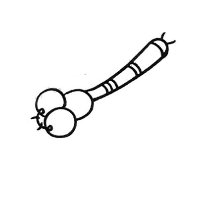 简笔画中级篇_蜻蜓-3