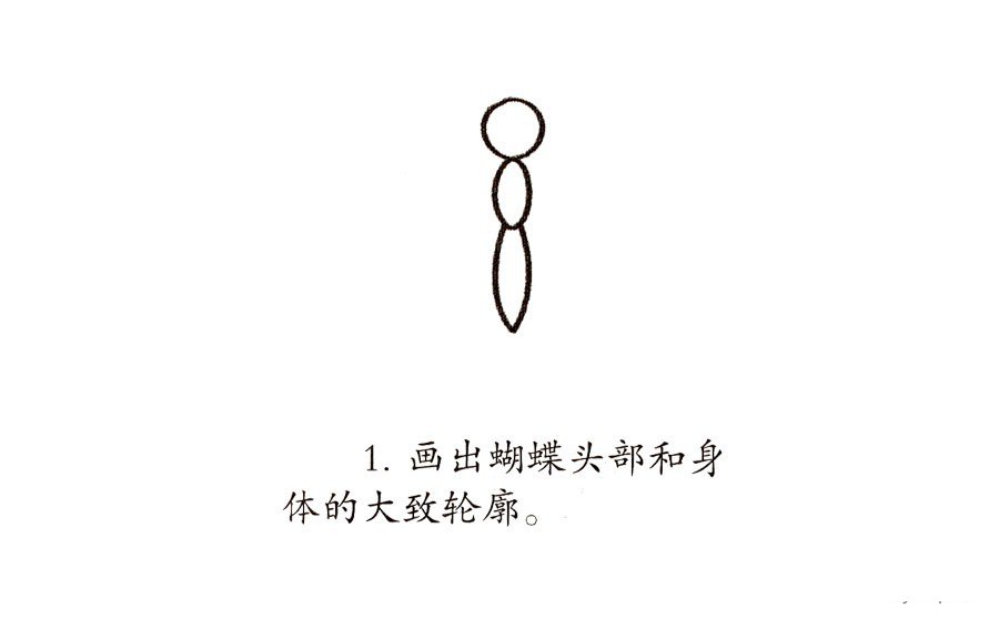 一步一步学画花蝴蝶-1