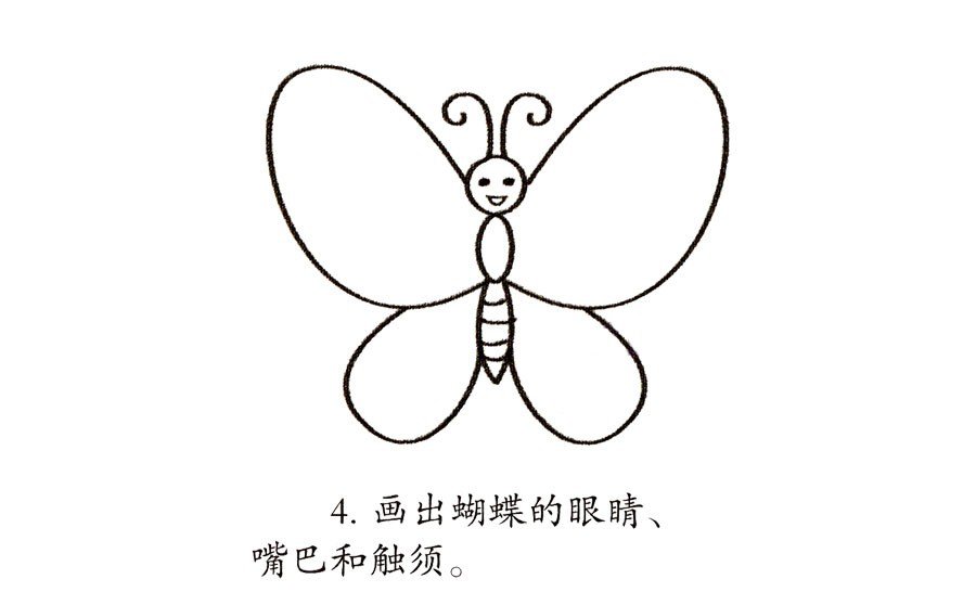 一步一步学画花蝴蝶-4