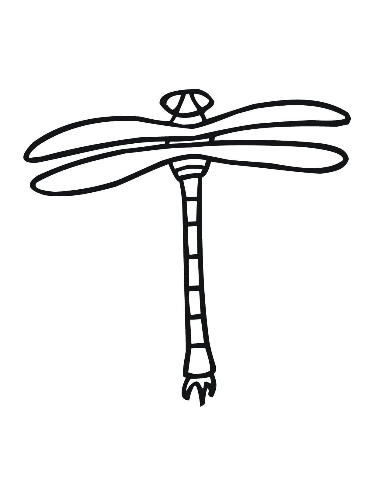 幼儿蜻蜓的画法-1