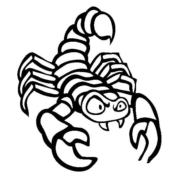 昆虫图片_蝎子简笔画图片-1