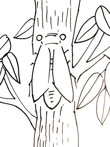 蝉的简笔画画法介绍-1