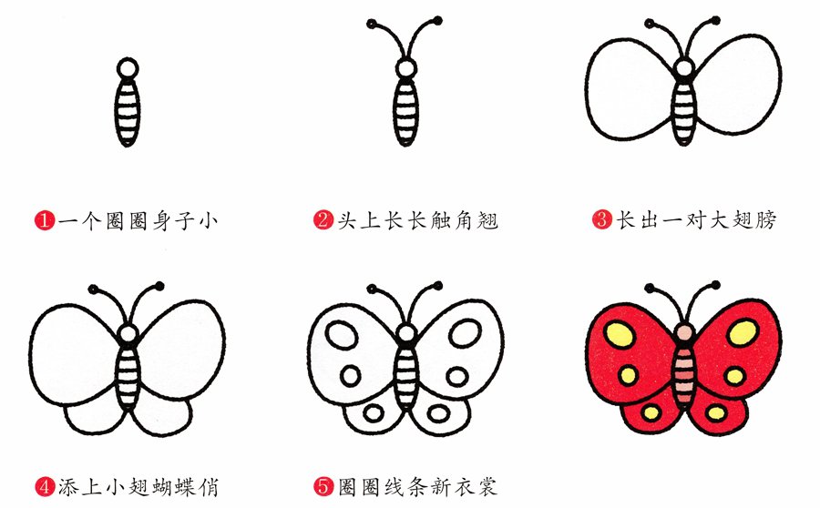 简笔画蝴蝶的画法-2
