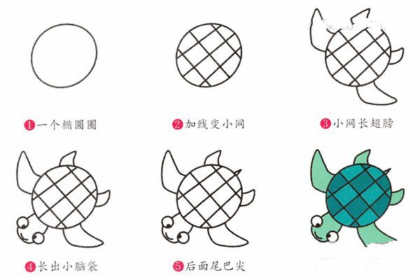 小乌龟简笔画图片教程素描-2