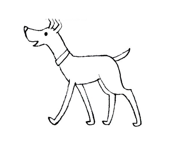 可爱的动物_小黄狗-1