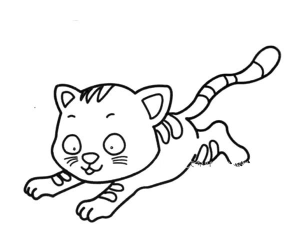 受到惊吓的小猫-1