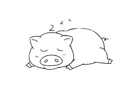 小动物的基本画法_猪的简笔画教程-3