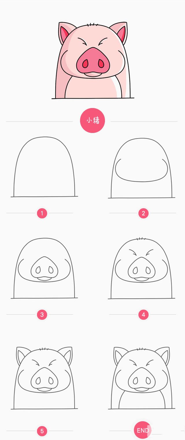 小胖猪简笔画画法-1