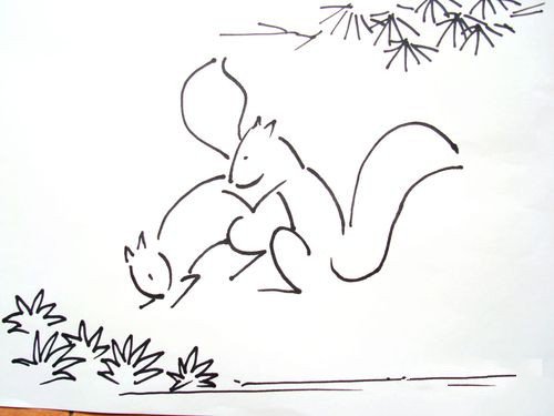 松鼠的简笔画画法-1