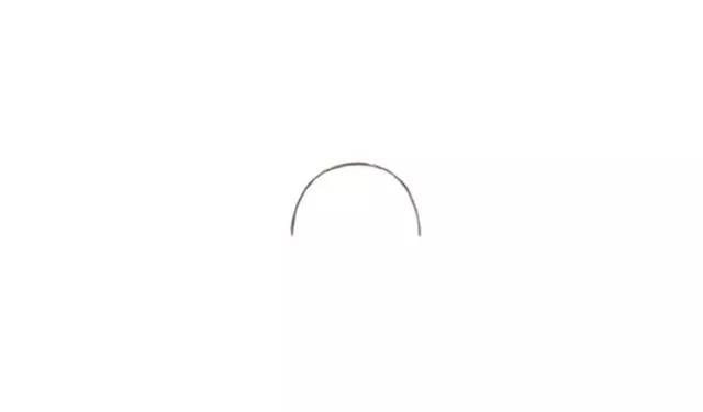 小狮子的画法-1