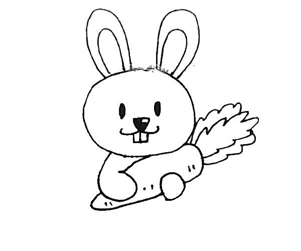 爱胡萝卜的小兔子-6