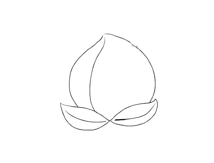 水蜜桃简笔画图片-1