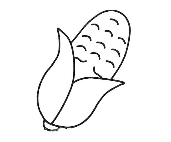 简单的玉米简笔画图片-2