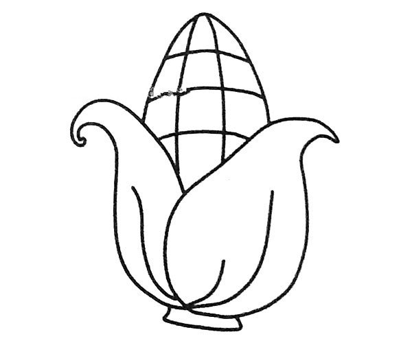 简单的玉米简笔画图片-3