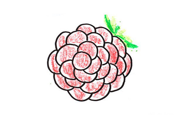 葡萄简笔画怎么画-1