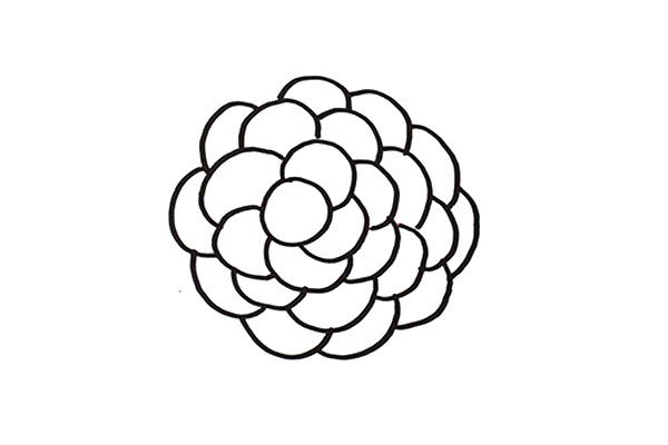 葡萄简笔画怎么画-6