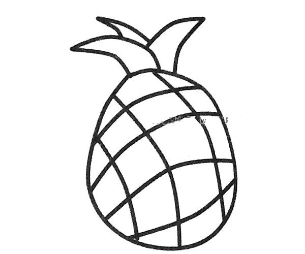 五张漂亮的菠萝简笔画图片-2