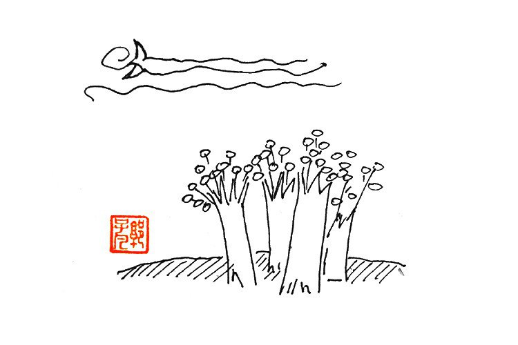 风和日丽春天风景简笔画-6