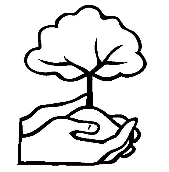 植物节简笔画素材_种植一颗小树简笔画-1