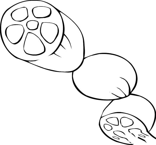 蔬菜简笔画大全_莲藕简笔画-1