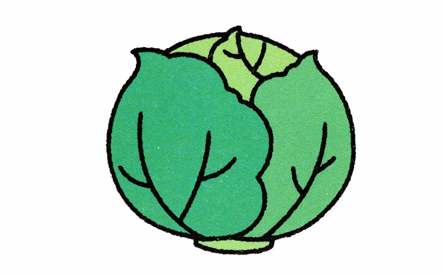 卷心菜简笔画画法-1