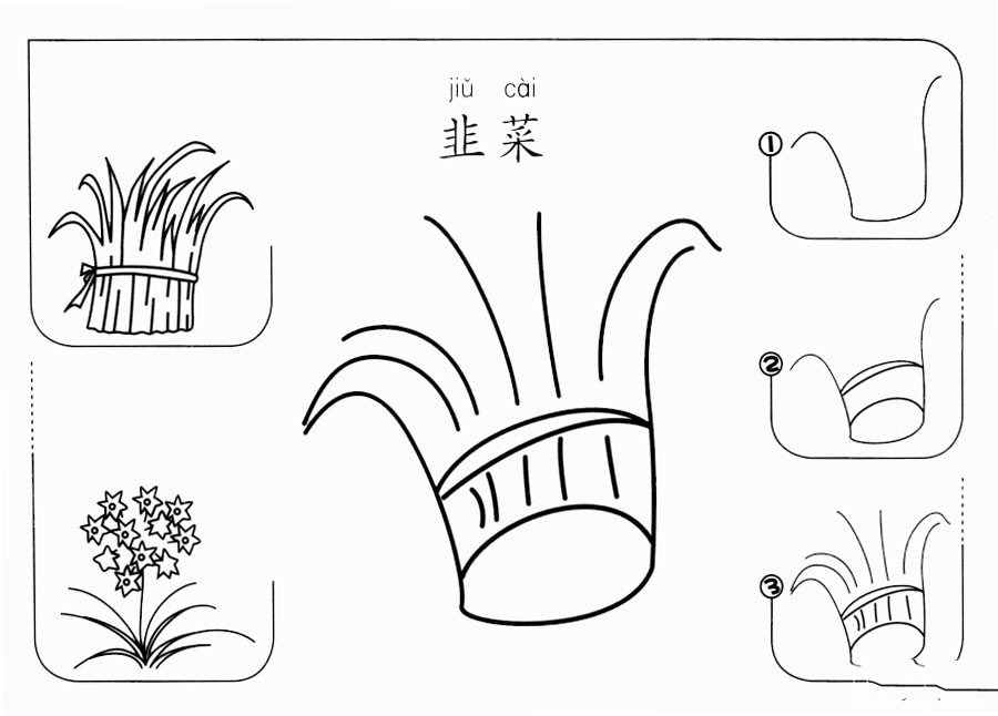 韭菜怎么画-1